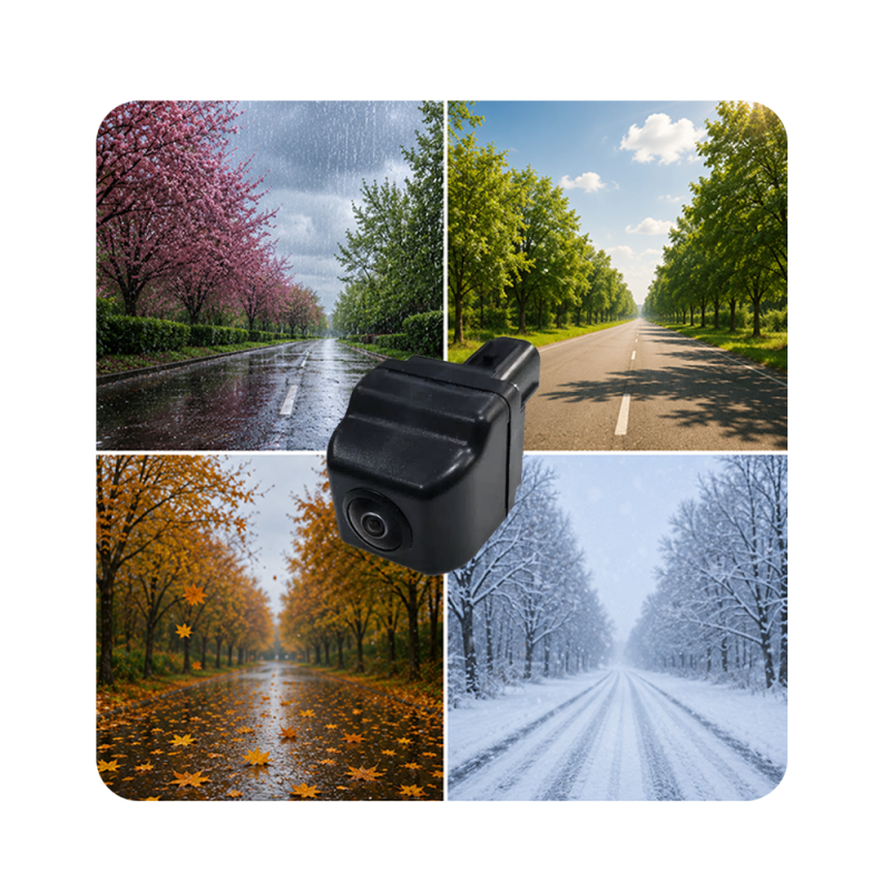 Dashcam positioned over a four-panel collage of spring, summer, autumn, and winter road scenes.